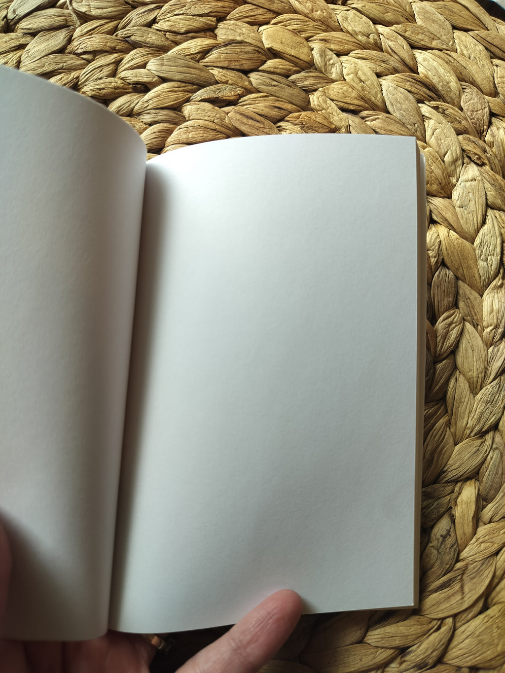 Strawberry Pocket Notebook | Sketchbook | 4x6 | 80 pgs