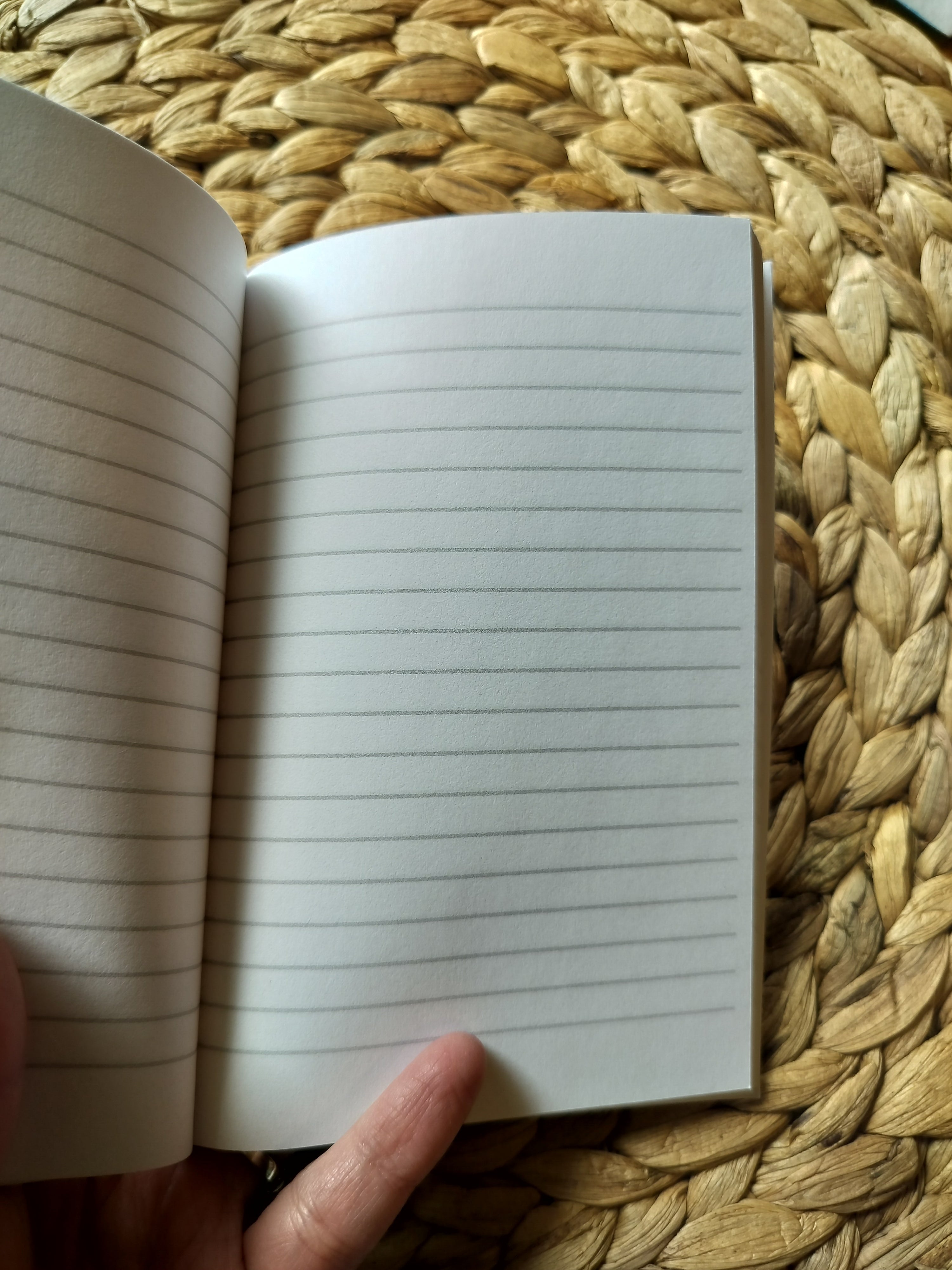 Strawberry Pocket Notebook | Lined Journal | 4x6 | 180 pages