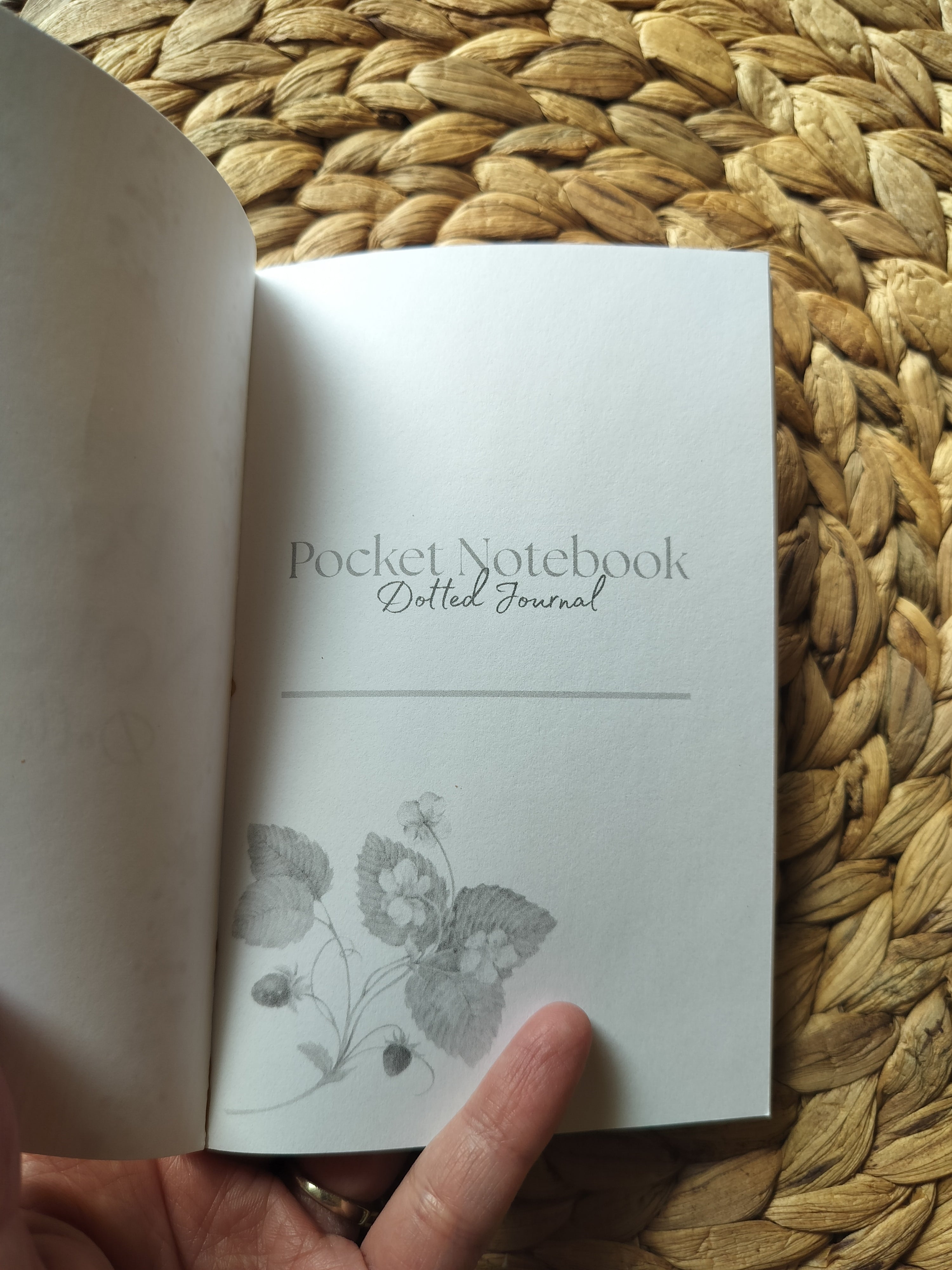 Strawberry Pocket Notebook | Dotted Journal | 4x6 | 180 pages
